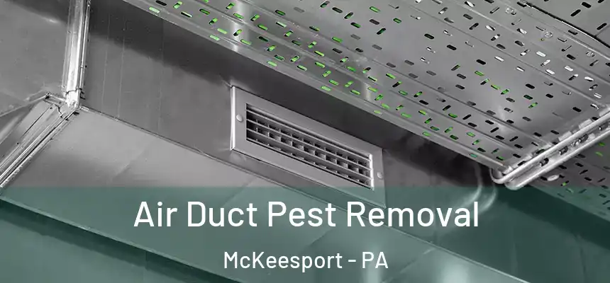 Air Duct Pest Removal McKeesport - PA