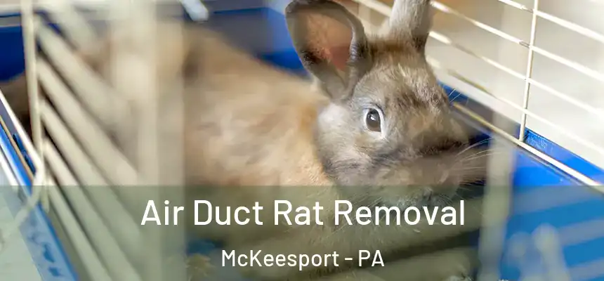 Air Duct Rat Removal McKeesport - PA
