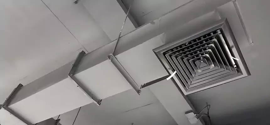 Our Rodent Droppings In Vents Services in McKeesport, PA