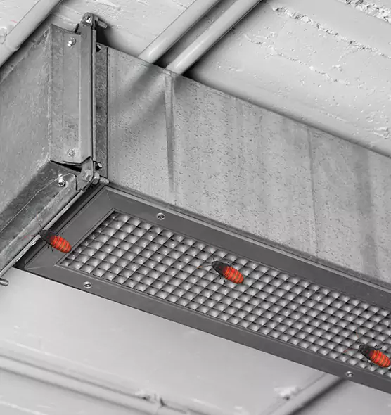 About Air Duct Cockroach Removal in McKeesport, PA