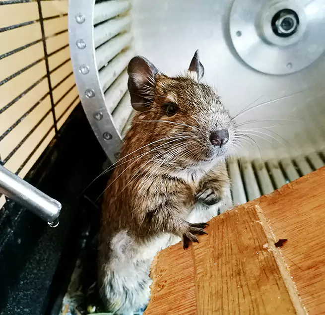 Why Homeowners & Businesses Trust Us McKeesport, PA?